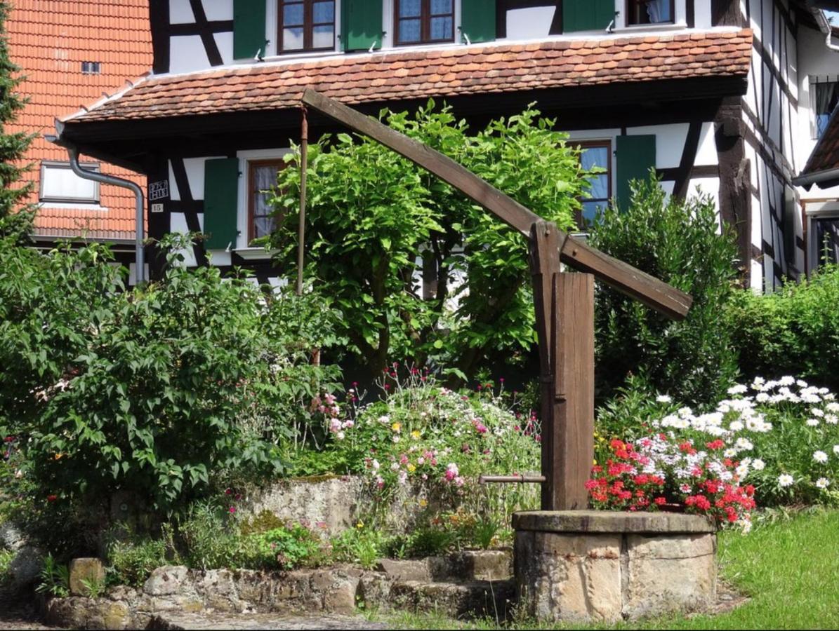 Gites Et Chambres D'Hotes Maison Ungerer Hunspach Экстерьер фото