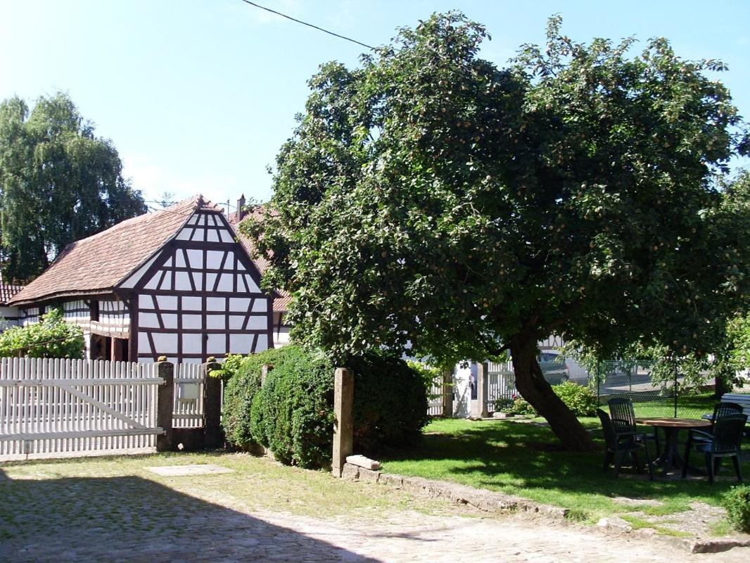 Gites Et Chambres D'Hotes Maison Ungerer Hunspach Экстерьер фото