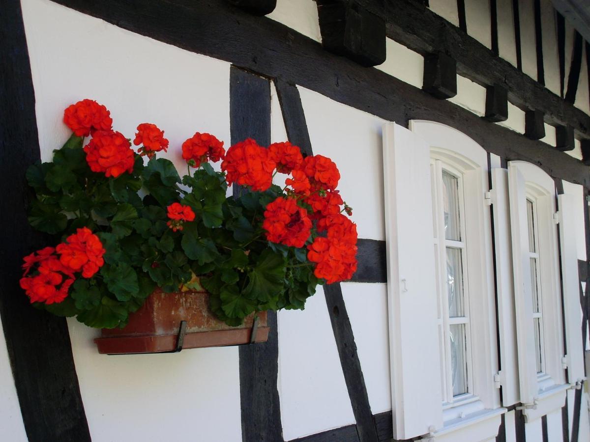 Gites Et Chambres D'Hotes Maison Ungerer Hunspach Экстерьер фото