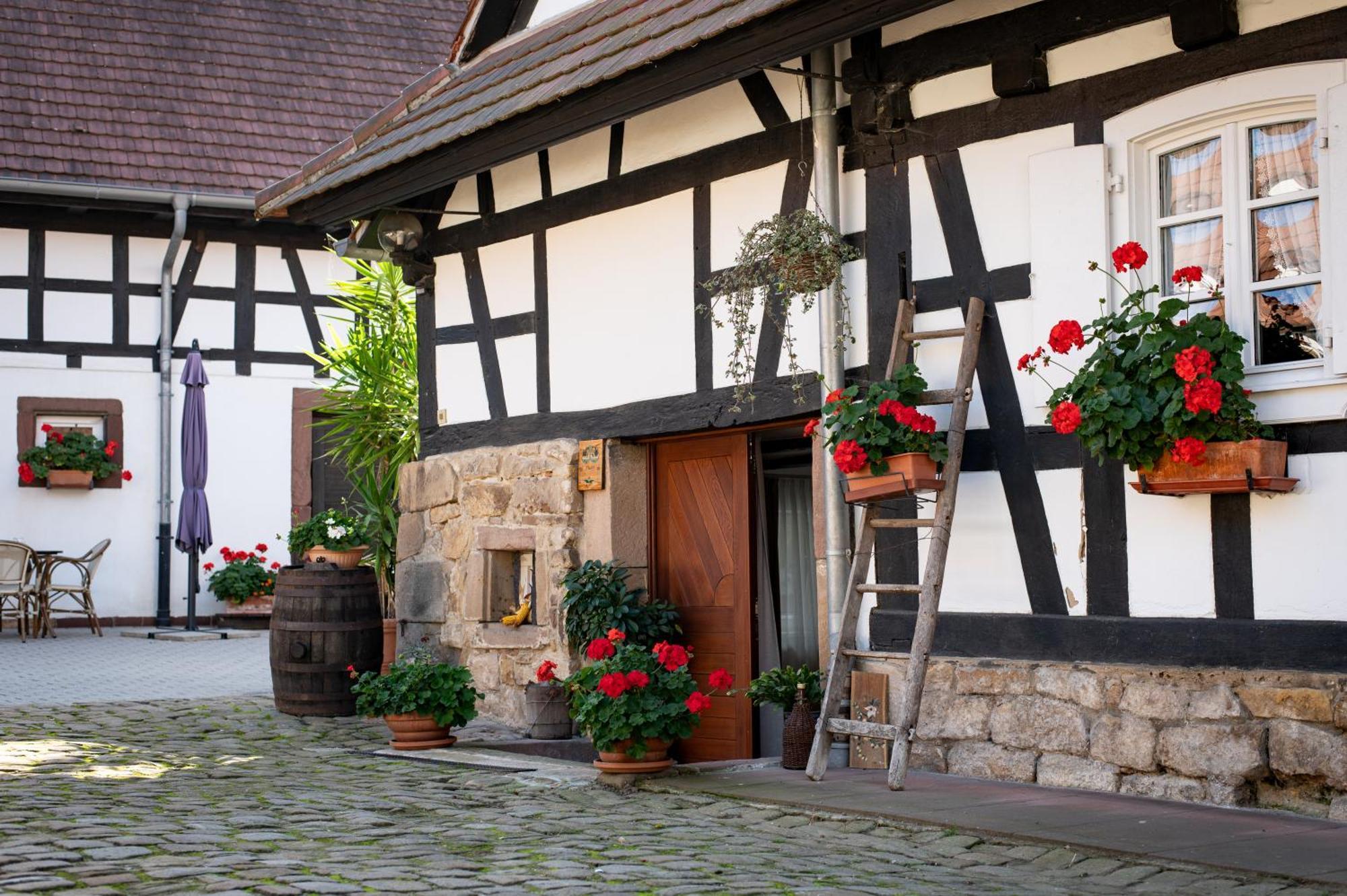Gites Et Chambres D'Hotes Maison Ungerer Hunspach Экстерьер фото