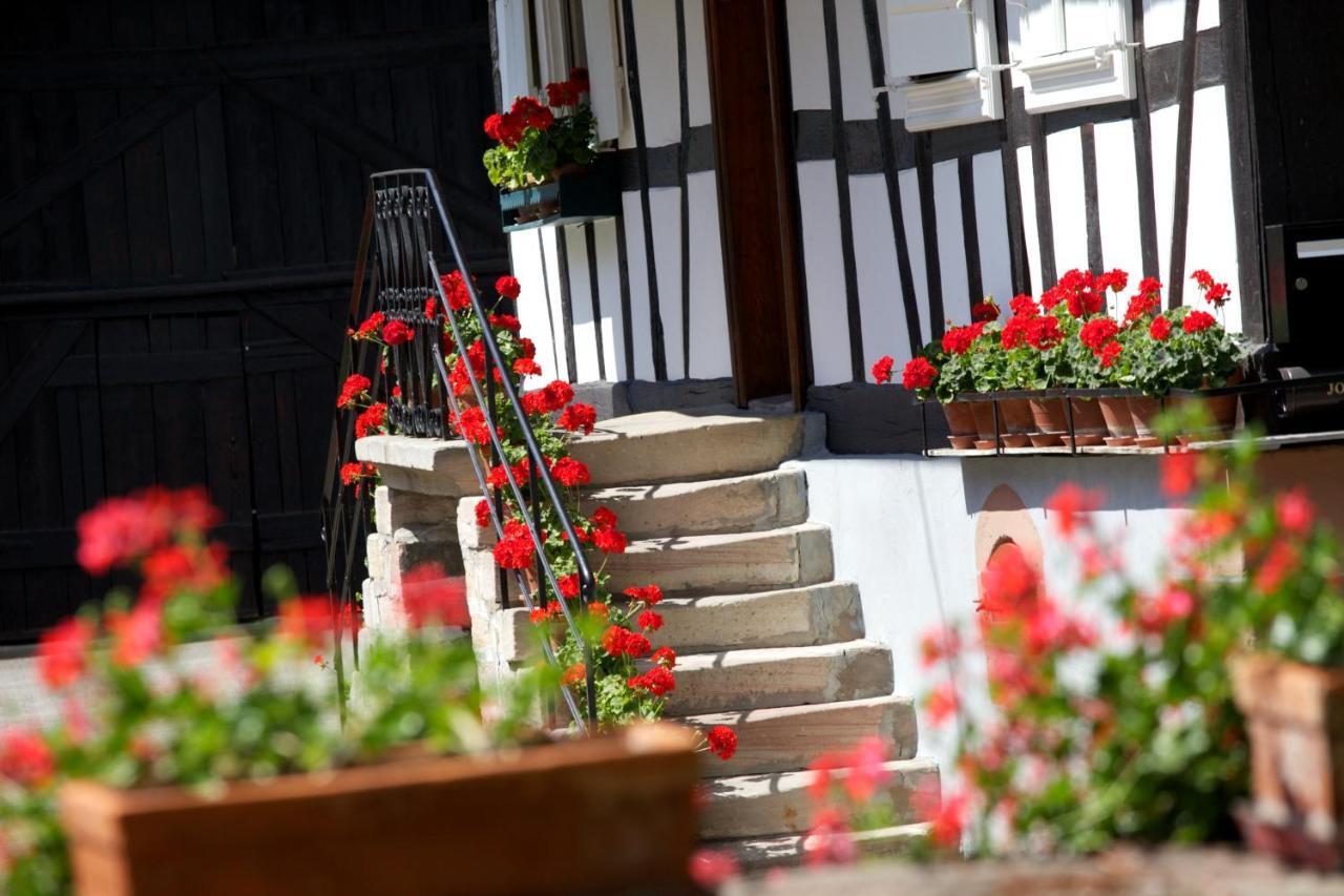 Gites Et Chambres D'Hotes Maison Ungerer Hunspach Экстерьер фото